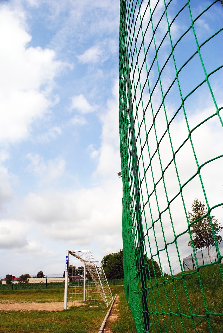 供了独特的 供了独特的