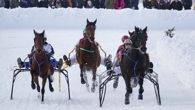 和音：火热“中国游”展现开放发展魅力.