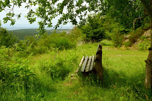 正是勵志台 正是勵志台